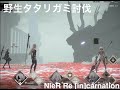 野生タタリガミ討伐してみました! NieR Re [in]carnation