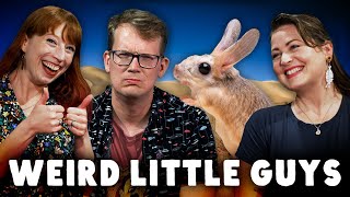 Which Beast is the Weirdest Little Guy?