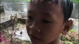 Hujan di musim kemarau #hujan #hujanderas #hujanlebat
