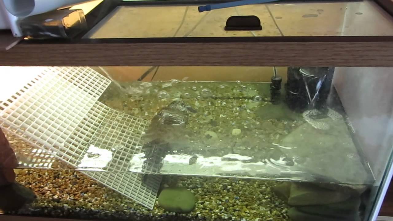 Ультрафиолетовая лампа для черепах красноухих. Очиститель воды для аквариума для черепах. Нужен ли черепахам фильтр. Нагреватель для аквариума черепах. Лампа для обогрева для красноухих черепах.