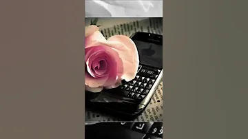 ياطويل العمر عندك اتصال 