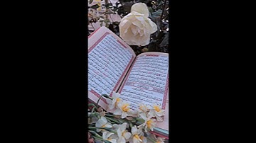 سورة الكهف بصوت الشيخ ماهر المعيقلي /سورة الكهف تلاوه خاشعه للشيخ ماهر حمد المعيقلي