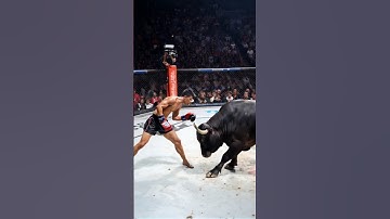 Bro vs Bull #ai #fight #mma #ufc #muaythai #kickboxing #boxing #shorts