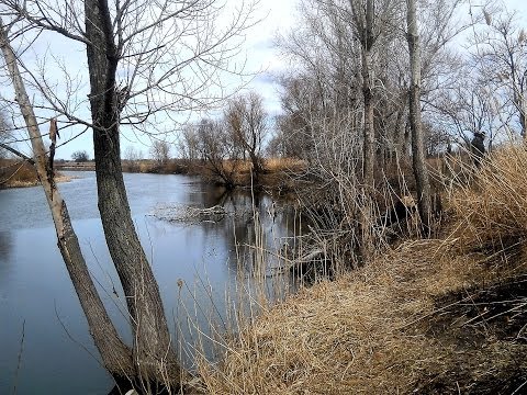 рыбалка на спиннинг на малых реках весной