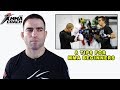 Mma for beginners 8 most important tips