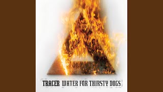 Water for Thirsty Dogs