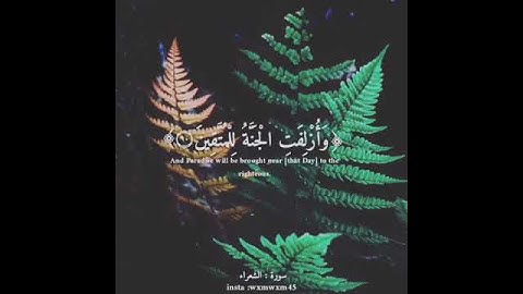 قرآن كريم _ القارئ / محمد نقيب _ اجمل حالات واتس آب دينية