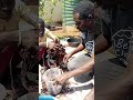 Never Buy Store Mushrooms Again After Watching This