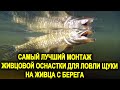 САМЫЙ ЛУЧШИЙ МОНТАЖ ЖИВЦОВОЙ ОСНАСТКИ ДЛЯ ЛОВЛИ ЩУКИ НА ЖИВЦА С БЕРЕГА 2023