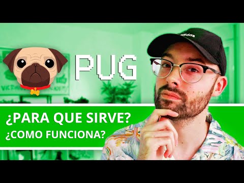 Video: ¿Cómo funciona Puggle?