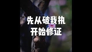 201802 先从破我执开始修证23695