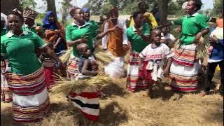 Obulombolombo obukolebwa ku muti gwa maama Nakayima E mubende