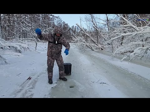 Видео: РЕКА ПРОСТО ЗАБИТА ТАЙМЕНЯМИ! ОТКРЫЛ ЗИМНИЙ СЕЗОН! САХАЛИНСКИЙ ТАЙМЕНЬ часть 2