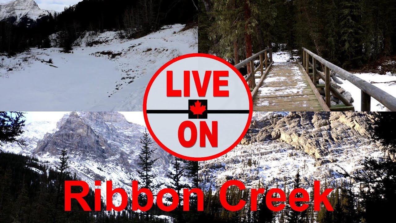 A HIDDEN WINTER GEM: Hiking the Ribbon Creek Trail 
