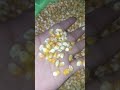 ACE SEEDS Faisalabad