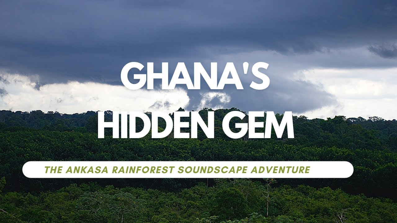 Ghana's Hidden Gem: The Ankasa Rainforest Soundscape Adventure