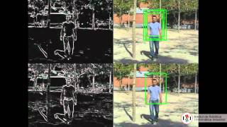 Combining color-based invariant gradient detector with HoG descriptors for robust image detection