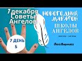 7 декабря 2020/Советы Ангелов/Лена Воронова