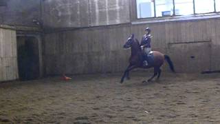 DSCF9616.AVI