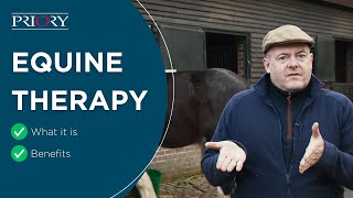 Equine Therapy | How it Works, Benefits and What to Expect