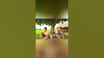 hôm nay capy giận nữa rồi cô chú ơi #capybara #ai #veo3 #ytshorts