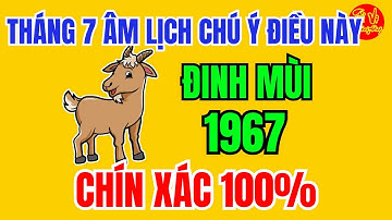 Tuổi Đinh Mùi 1967 Tháng 7 Âm Lịch 2025,Thần Tài Báo Mộng trúng số bất ngờ | Tử Vi Phương Đông