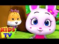 Peek A Boo I See You | Hide and Seek | Nursery Rhymes | Children's Music | Baby Cartoon - Kids Tv