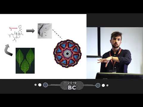 Patrick Smith - Salvia divinorum and "The Wheel": What Can We Learn From This Persistent Phenomenon?