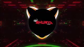 DJ SUNNY - Hariyar Hariyar Bag Bagicha | Cg Lok Geet | Remix | Dj Sunny Dwn & Dj Vicky