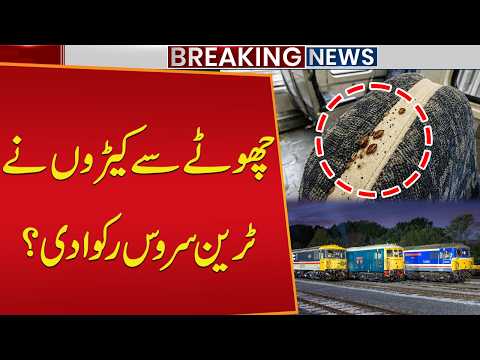 Southeastern trains cancelled after bedbugs found on board | Breaking News | Public News
