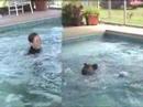 Andrea & Achilles Diving Techniques