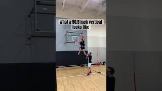 What 10+ years of vertical jump training looks like