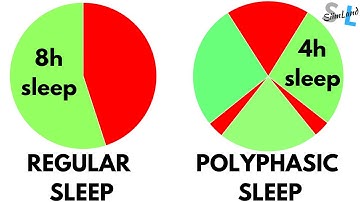 I Slept for 4 Hours a Day for 100 Days - My Polyphasic Sleep Experiment