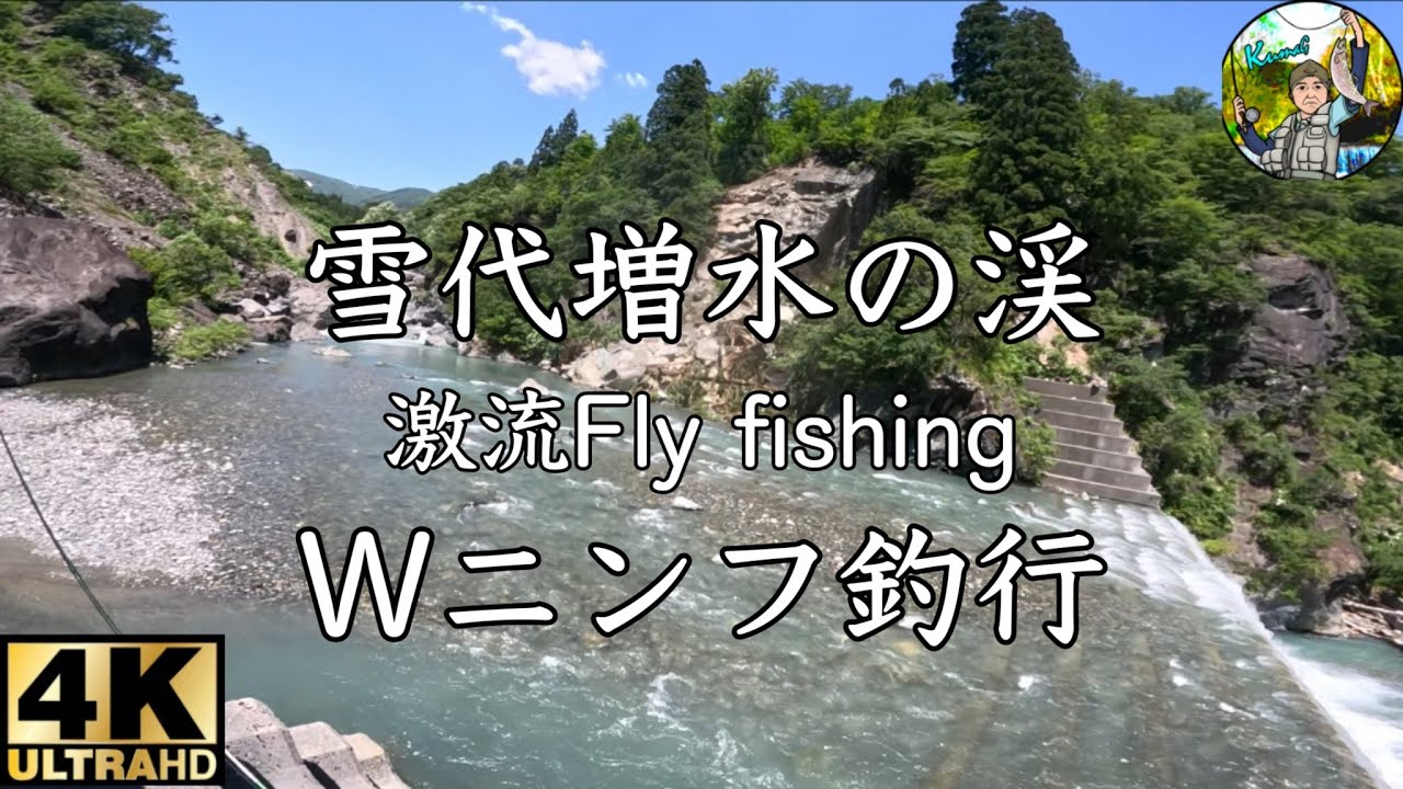 【Fly fishing】2025.6/雪代増水の渓/激流をWニンフで釣り上がる/4K