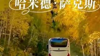 Hamidshax哈米德. 萨克斯的纯电音《Drama》（戏），总这么律动明快，优美迷人。生活有点苦，音乐有点甜：不是山泉胜山泉，不是香槟胜香槟🥂。 ...