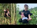 Single mom  build a bamboo bathroom  find a source of clean water for living  ly yen ca