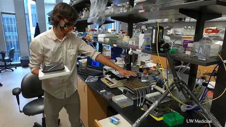 The heat is on for building 3D artificial organ ti...