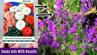 Where to Find CHEAPEST & BEST Quality Flower SEEDS?