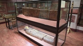 The Treasures Of Waless Largest Ancient Egypt Collection