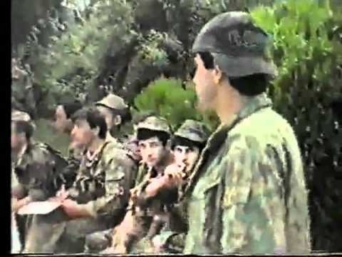 აფსუების ქომაგი ოსები 1993წ.