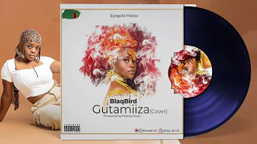 BlaqBird - Gutamiiza - Audio (Radio & Weasel - Gutamiiza ft B2C cover)