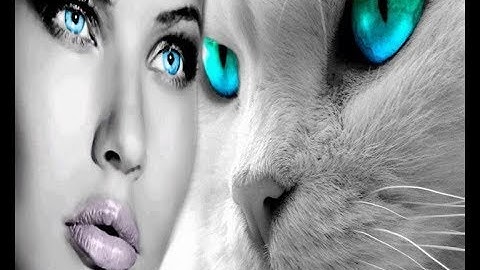 Enigma   Once in a lifetime