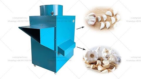 1000kg/h Garlic Breaking and Separating Machine Garlic Bulb Separator