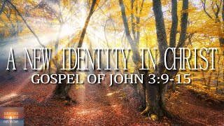 Transformed by Faith: How John 3 Can Change Your Life Today (Christian Inspiration)