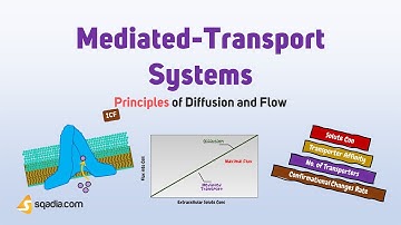 Principles of Diffusion and Flow | Mediated Transport Systems