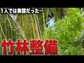 【絶望】切っても切っても終わらない竹林と戦い続けた結果…