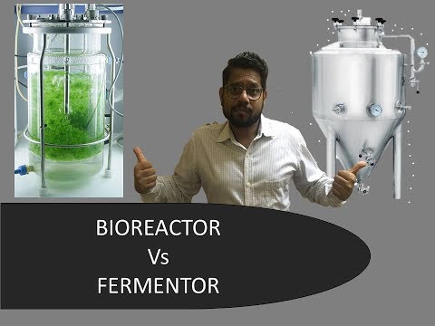 Fermentor and Bioreactor: What is the Difference?