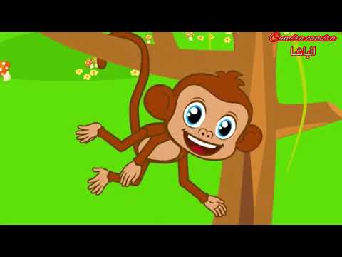 رحلة الغابة برامج أطفال اللغة الفرنسية