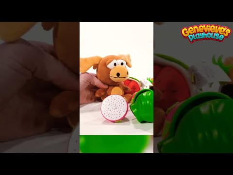 Moose Gets his Food Delivery!