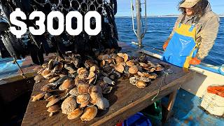 We hit the MOTHERLODE and caught crazy sea creatures | Maine Commercial Fishing